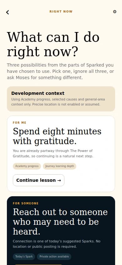 Actual Sparked development app: A meaningful next step. Seeded demo data, rendered with Expo web.